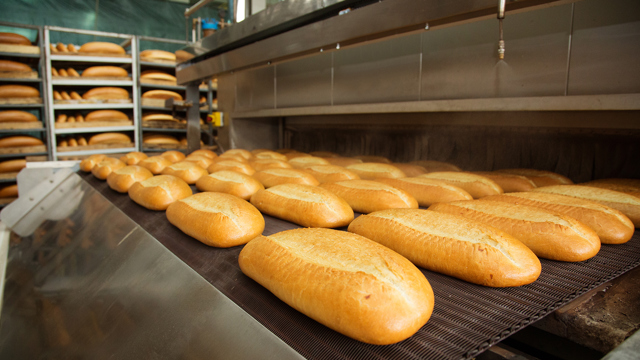 bakkerstechnologie broodjes bakken