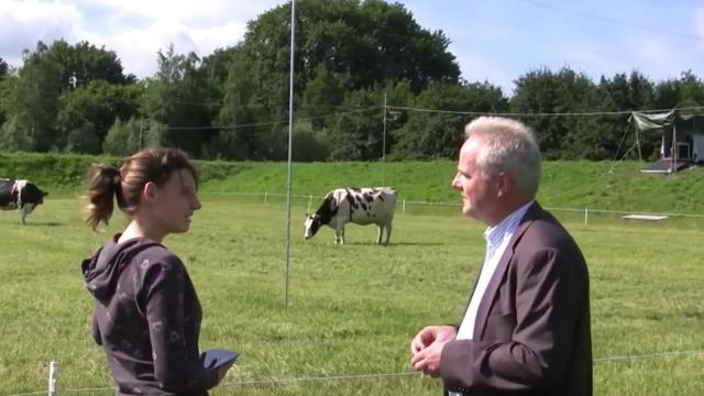 Man en vrouw bij koeien in weiland