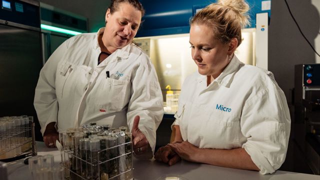 lab en reageerbuisjes - Cursus Celdeling en erfelijke eigenschappen