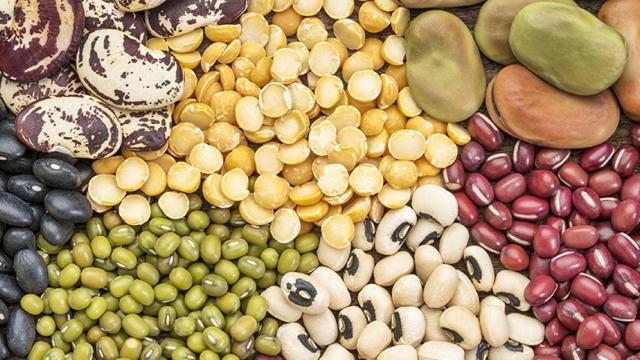 Verschillende soorten bonen