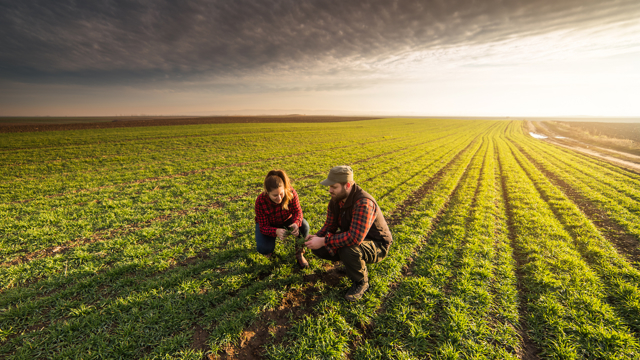photo students on farmland