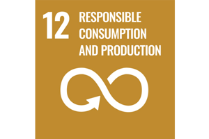 Sustainable Development Goal 12: Responsible consumption and production