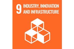 Sustainable Development Goal 9: Industrie, innovatie en infrastructuur