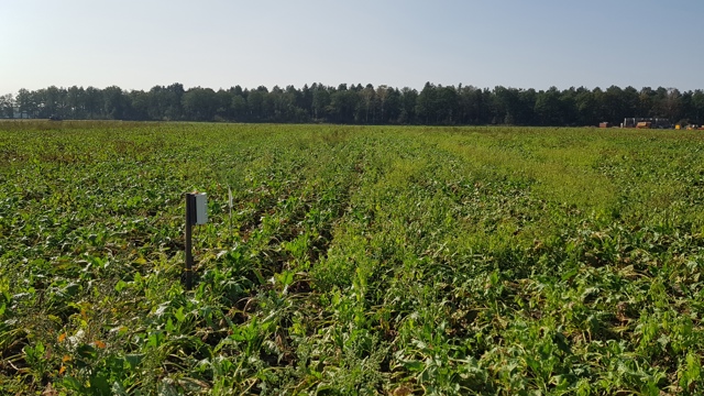 Landbouw