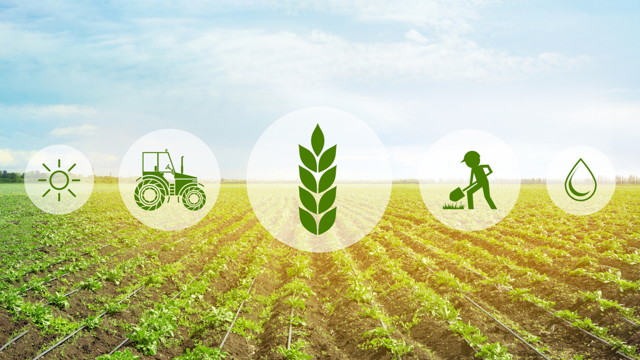 foto agritech landbouw