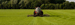Tractor met tank aan het bemesten