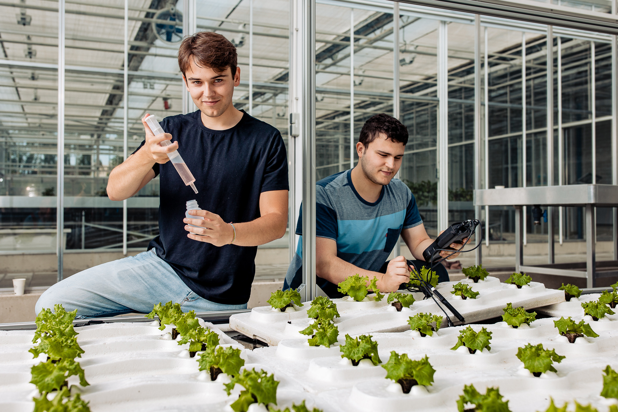 Hbo opleidingen has green academy