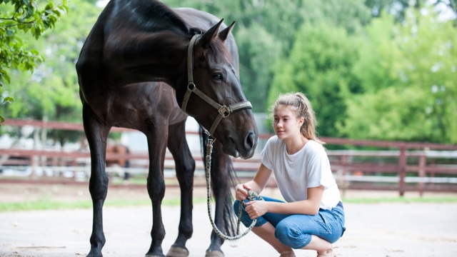 Paardencoaching onderzoek HAS