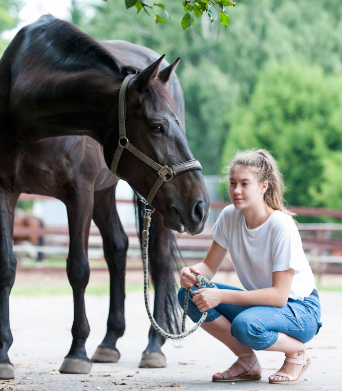 Paardencoaching onderzoek HAS