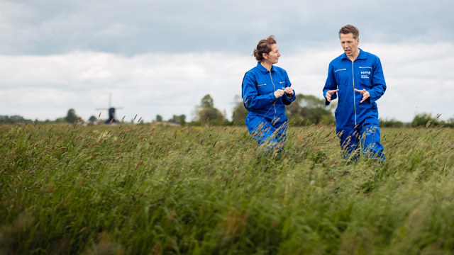 Man en vrouw lopen in weide met molen op de achtergrond