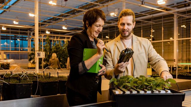 man en vrouw bij planten stekjes in kas
