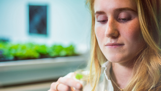 Studente in HAS-lab