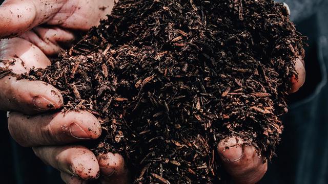Handen met meststof