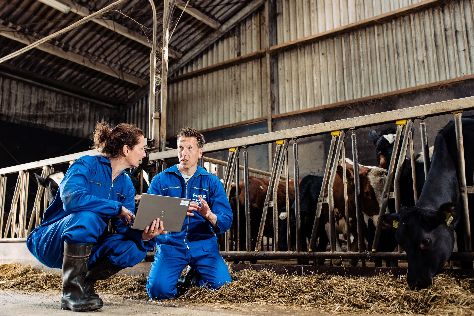man en vrouw in koeienstal - Masterclass Stikstof in de landbouw