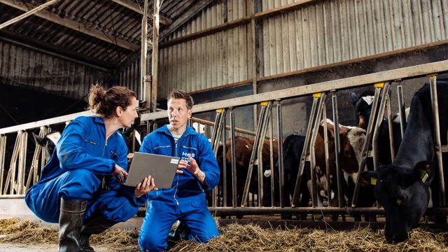 man en vrouw in koeienstal - Masterclass Stikstof in de landbouw