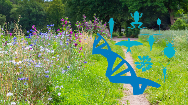 Inauguratie lector Margje Voeten HAS