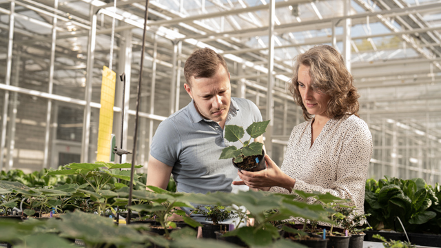 Gezonde_voedselproductie