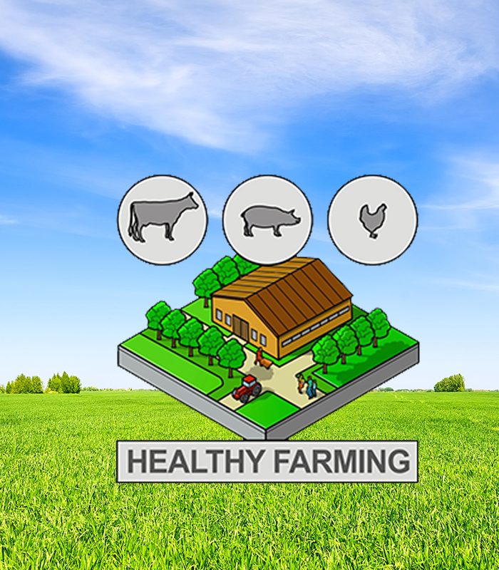 illustratie Healthy Farming