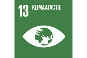 Sustainable Development Goal 13: Klimaatactie