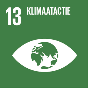 Sustainable Development Goal 13: Klimaatactie