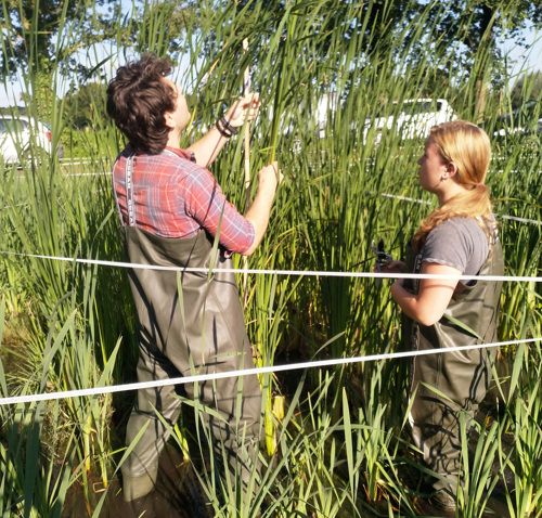 Climate-robust Landscapes research group