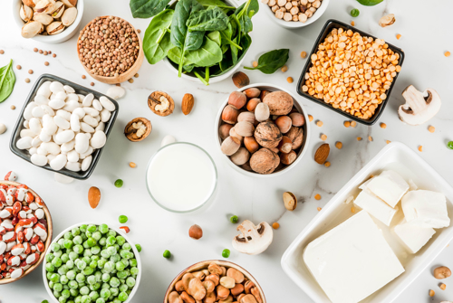 Lectoraat Eiwittransitie in voeding