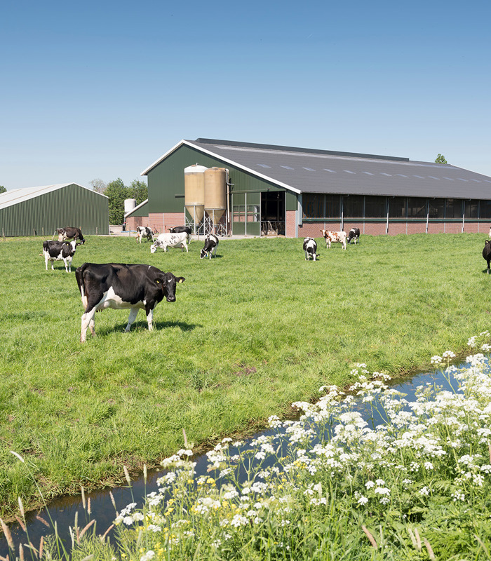 Agrarisch ondernemen