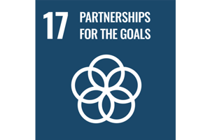 Sustainable Development Goal 17: Partnerships for the goals