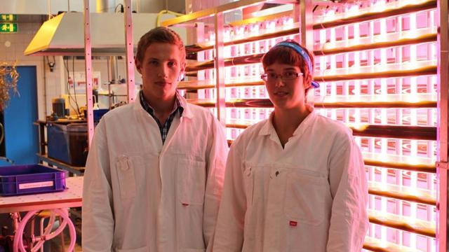 Studenten bij algenreactor