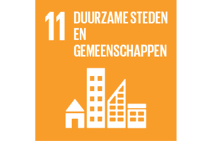 Sustainable Development Goal 11: Duurzame steden en gemeenschappen