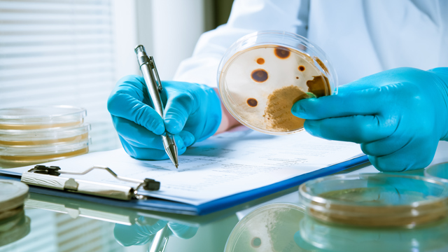 Cursus Levensmiddelenmicrobiologie HAS