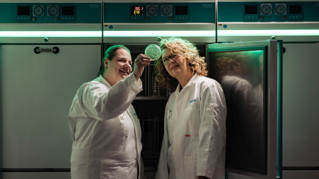 Cursisten kijken naar petrischaaltje - Levensmiddelenmicrobiologie