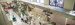 Studenten tijdens practicum in Food Technology Centre van HAS Hogeschool