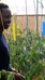Kenya project ePivot HAS University of Applied Sciences