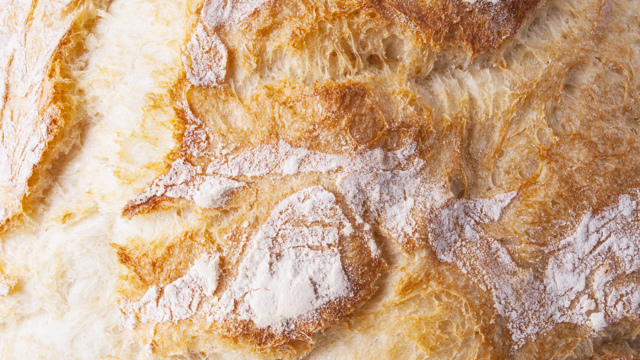 bakker brood cursus bakkerijtechnologie HAS