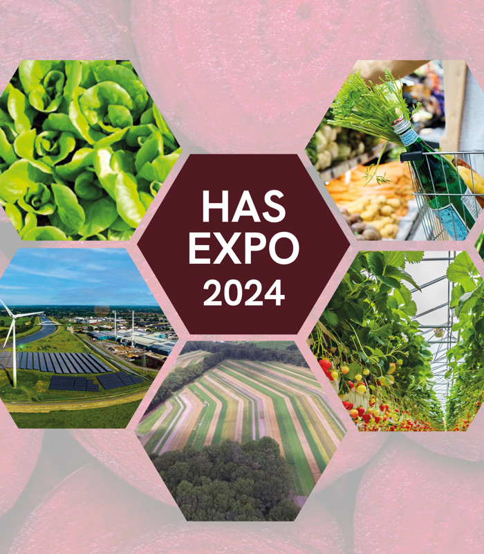 logo_expo