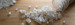 Bioplastics