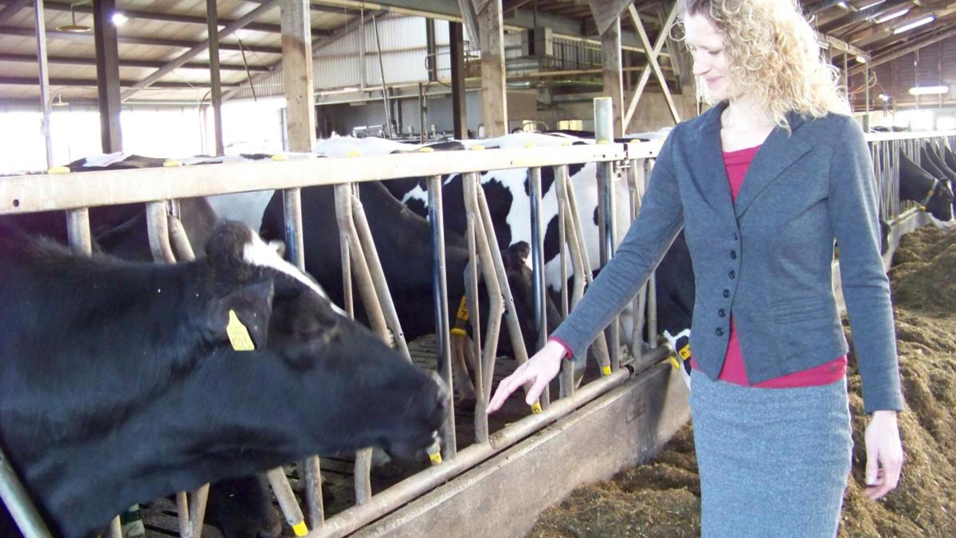 photo Lenny in stable