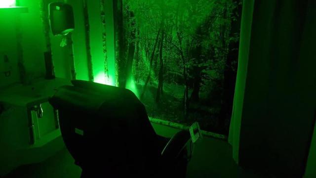 Vital Forest room