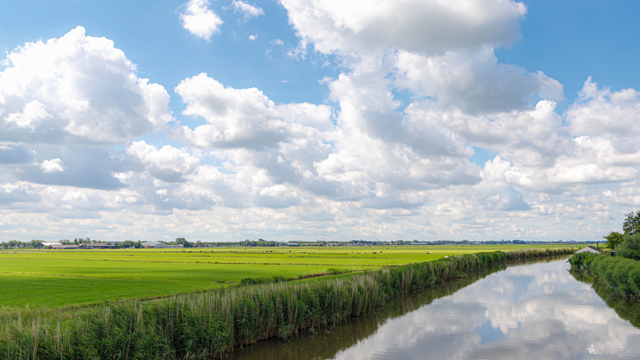 Klimaatrobuust landschap