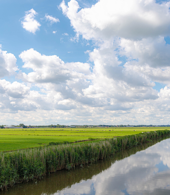 Klimaatrobuust landschap