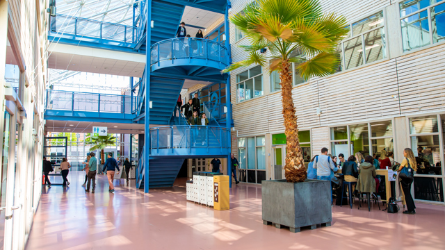 HAS Hogeschool - hal