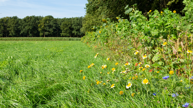 Scholingsprogramma Natuurinclusief Ondernemen in de landbouw