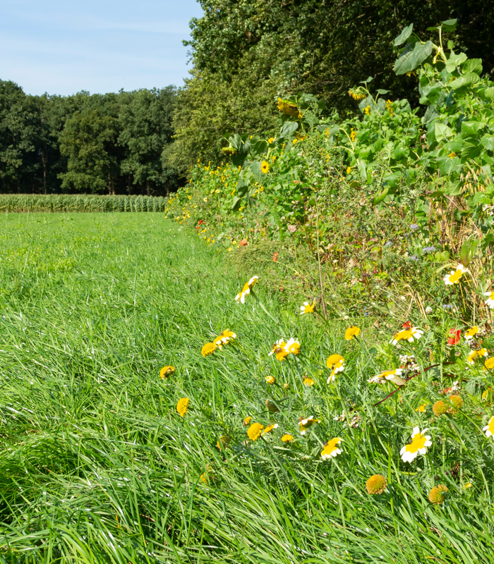 Scholingsprogramma Natuurinclusief Ondernemen in de landbouw
