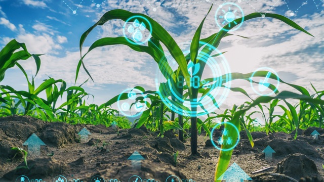 Plants with digital characters in front of them