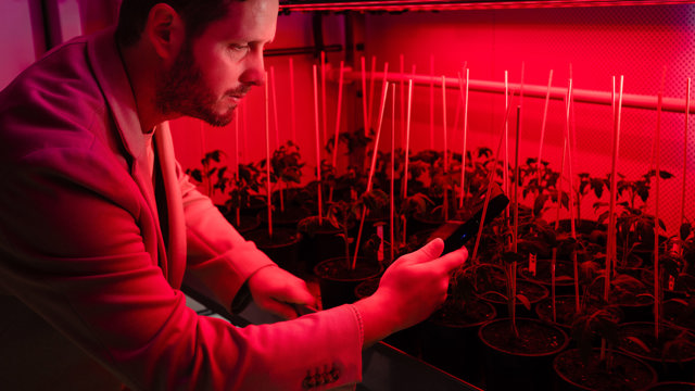 Man and plants under LED lights - Growing without daylight