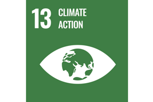 Sustainable Development Goal 13: Climate action