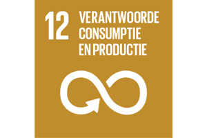 Sustainable Development Goal 12: Verantwoorde consumptie en productie