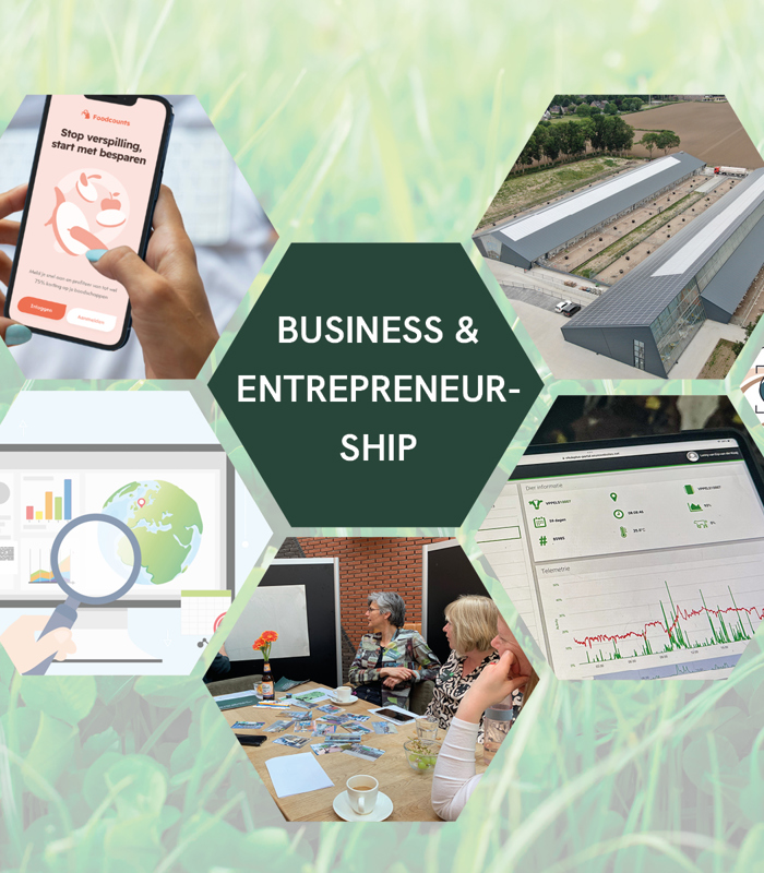 Business
