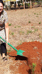 Marjo Baeten Kenia boom planten HAS Hogeschool_klein